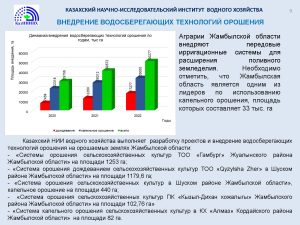 3_Презентация_Мирдадаев_21.05.2024_Page_09