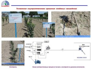 3_Презентация_Мирдадаев_21.05.2024_Page_17