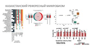 4. Кушугулова_форсайт_Page_07