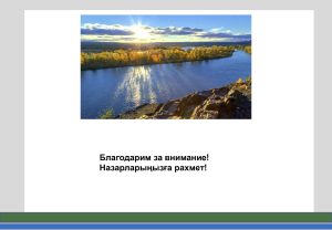 Презентация_Форсайт_Павлодар_28062024_Page_13