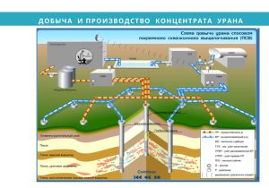 Рыспанов Н.Б._Page_4