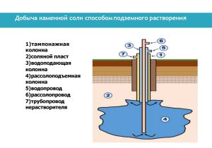 Рыспанов Н.Б._Page_6